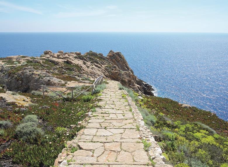 Giglio & Giannutri Islands of Tuscany: Tourfrom Siena