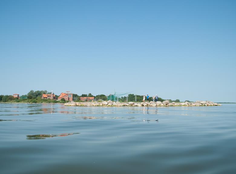 Kajaktour zum Nemunas-Flussdelta von Klaipeda aus