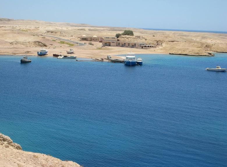 Ras Mohammed National Park 1 Day Tour from Dahab