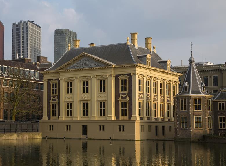 Small Group Full Day Trip to UNESCO'S Kinderdijk and The Hague incl. Mauritshuis from Amsterdam