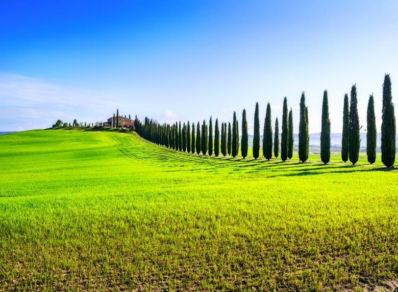 Val D'Orcia Tour from Florence
