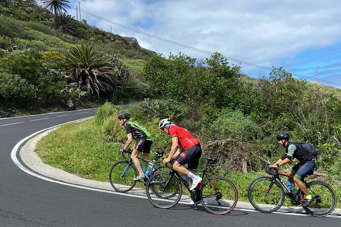 1/2 day guided roadbike tour - The Sum Up