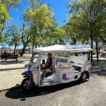 1.5 Historical Tour Lisbon Center and Viewpoints Private Tuk Tuk - Who Should Consider This Tour?