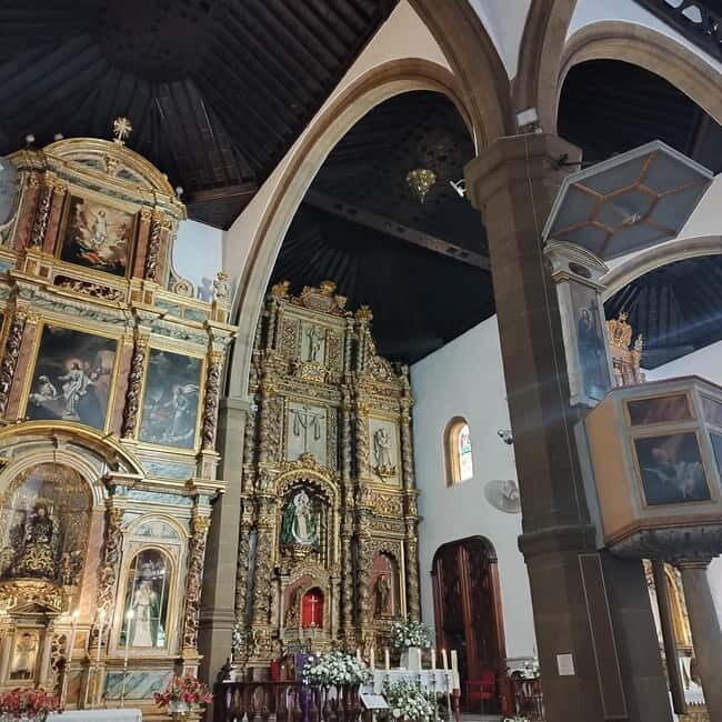 1.5-hour walking tour of Puerto de la Cruz, Tenerife. - Why Choose This Tour? Who Is It For?