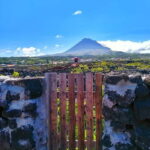 1-day jeep tour on the island of Pico - Azores - The Heart of the Tour: What You Can Expect