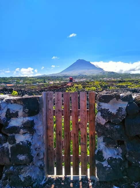 1-day jeep tour on the island of Pico - Azores - The Heart of the Tour: What You Can Expect