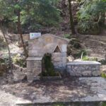 1 Day Parnitha Athens Private Hiking Tour with Hotel Pickup - What the Reviews Say: Authentic Praise from Travelers