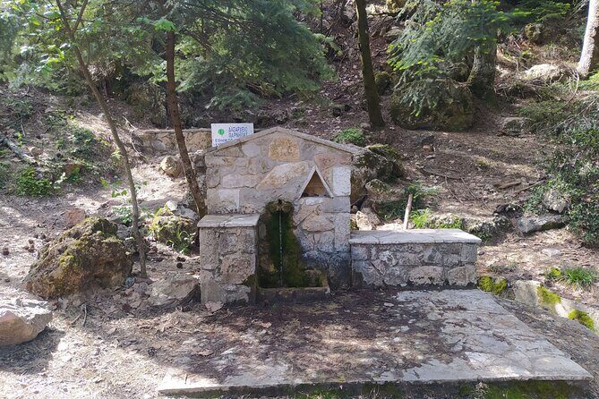 1 Day Parnitha Athens Private Hiking Tour with Hotel Pickup - What the Reviews Say: Authentic Praise from Travelers