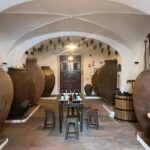 1 Day Wine Tour Around Évora - A Deep Dive into the 1 Day Wine Tour Around Évora