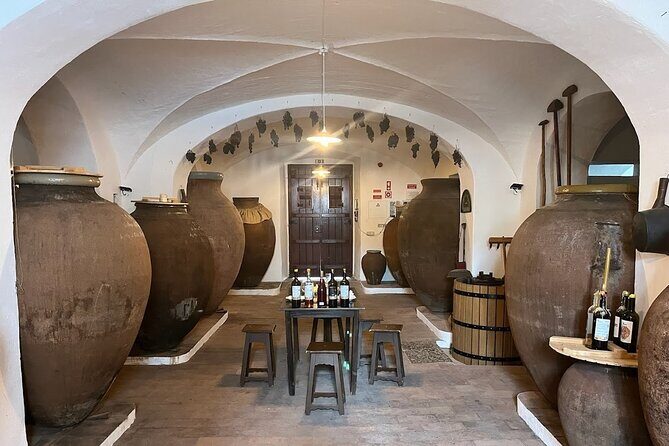 1 Day Wine Tour Around Évora - A Deep Dive into the 1 Day Wine Tour Around Évora