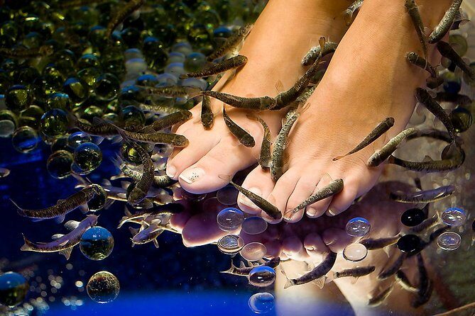 1-Hour Aroma Oil Massage plus 20-Minute Free Fish Pedi - A Closer Look at the Experience