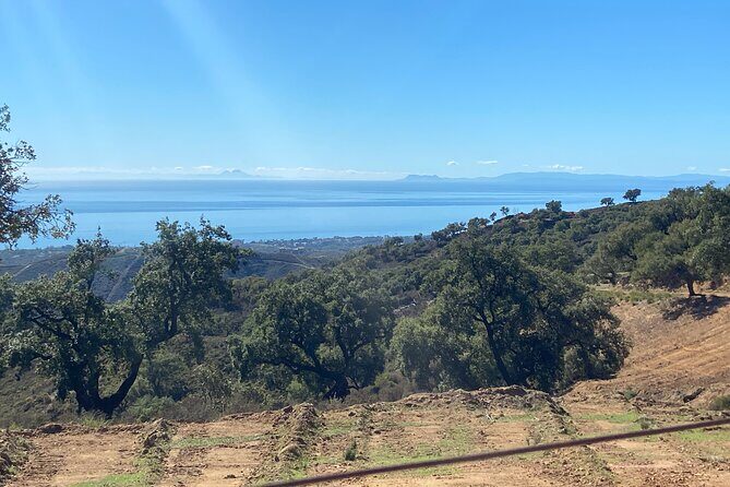 1 Hour Buggy Tour Off-Road Adventure in Mijas - Final Thoughts