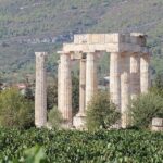 1. Wine Tour Nemea: The Lion of Nemea - Final Thoughts: Is This Tour Worth It?