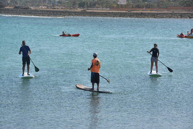 1,5-Hour Beginners Stand Up Paddle Course in Caleta de Fuste - A Deep Dive into the SUP Course Experience in Caleta de Fuste