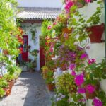 2-Day Guided Tour to Cordoba and Seville from Madrid - FAQ