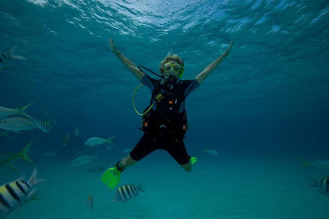 2 Day PADI Scuba Diver Course in Puerto Rico, Gran Canaria - Who Should Consider This Tour?