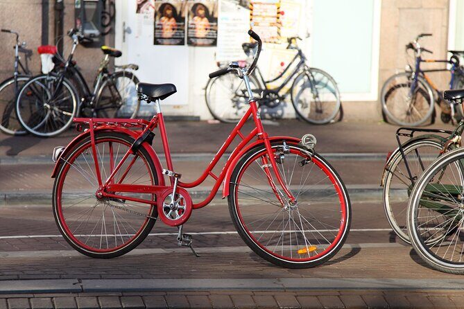2 Hour Alternative Tour: The Real Amsterdam - Key Points