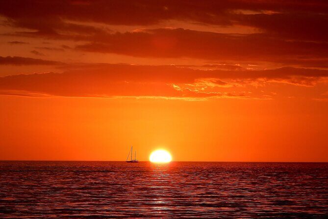 2-Hour Dolphin Guided Safari NP Brijuni from Fazana - What You Can Expect from the Tour