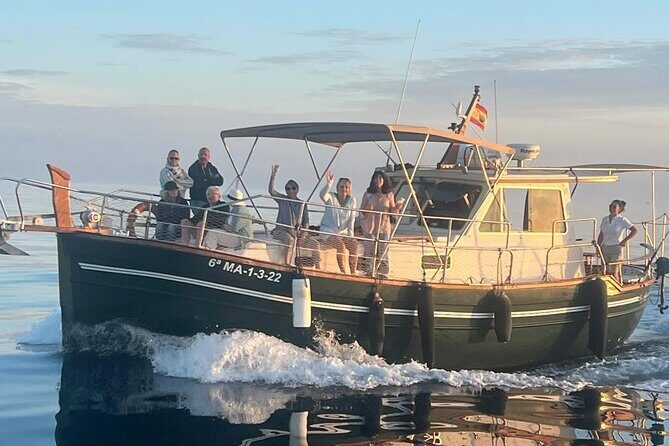 2-hour excursion in search of dolphins/drinks and snacks - A Detailed Look at the Marbella Dolphin & Drinks Boat Tour
