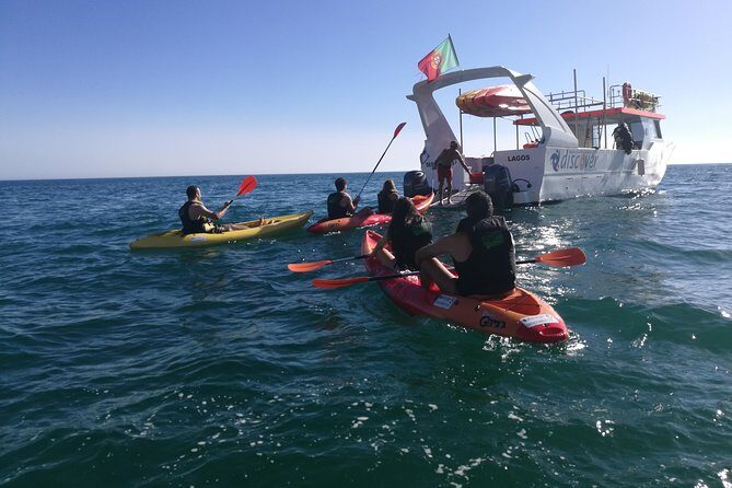 2-hour Kayak Tour of Ponta da Piedade Caves and Beaches - Final Thoughts: Why Choose This Tour?