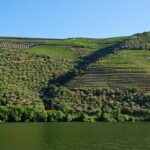 2-hour Rabelo Boat tour in Pinhão - Frequently Asked Questions
