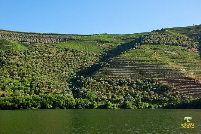 2-hour Rabelo Boat tour in Pinhão - Frequently Asked Questions