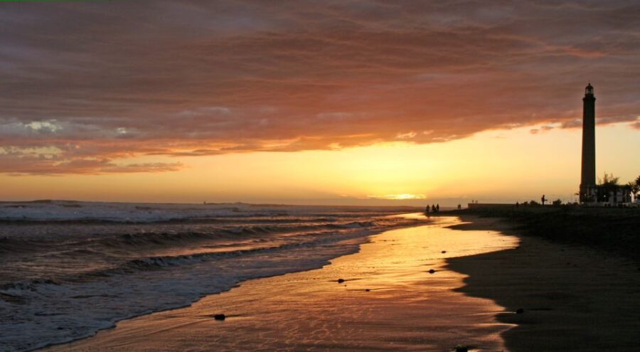 2-Hour Segway Tour: Maspalomas Dunes, Playa Ingles,S.Agustin - A Deep Dive into the Segway Experience
