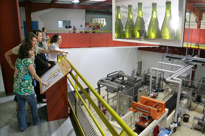 2 Hour Sparkling Wine Tasting and visit in Beaune - The Real Value of This Tour