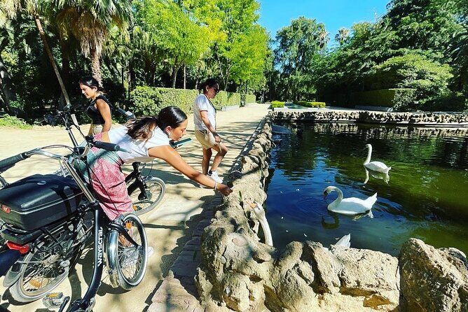 2 Hour Tour Discover Seville like a local on an ELECTRIC BIKE - Exploring Seville on an Electric Bike: An In-Depth Review