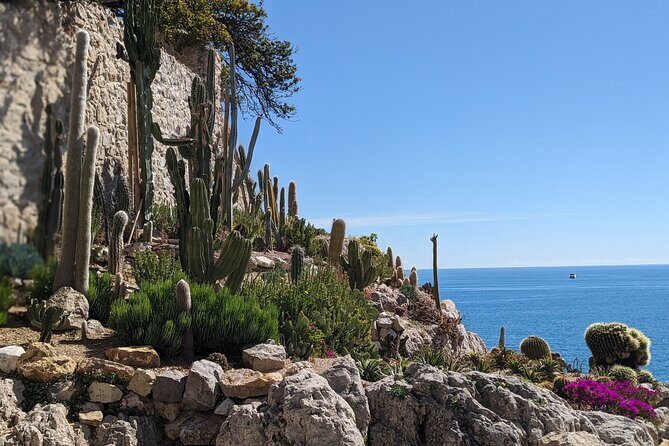 2 Hour Walking Tour in the Old Town of Antibes - The Itinerary: What to Expect