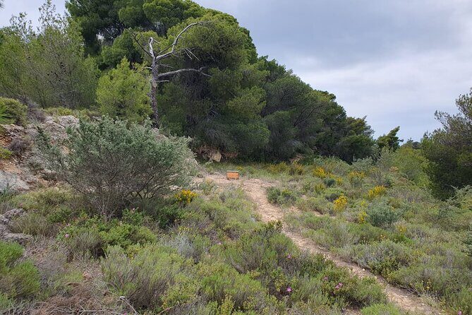 2-Hours 4X4 Tour in Spetses Safari - FAQ