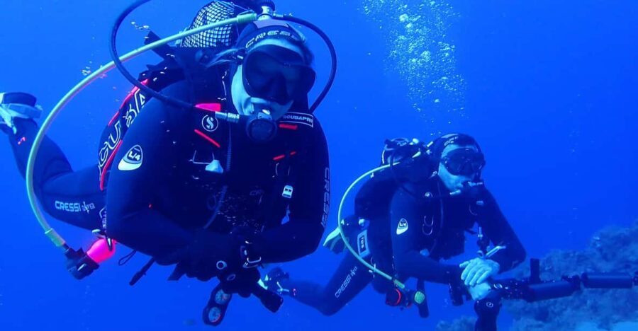 2 PRIVATE GUIDED DIVES - Why This Tour Offers Great Value
