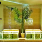 20-Minutes Natural Pedicure with Exotic Fish - A Refreshingly Natural Pedicure Experience in Athens
