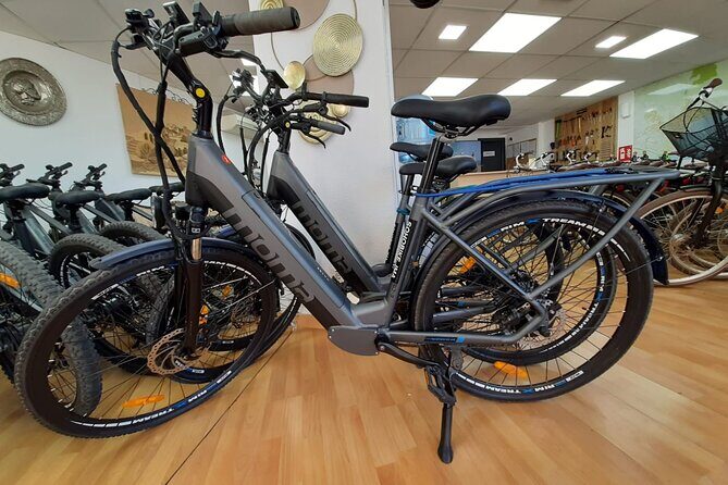 2h E-bike tours+1day extra in Malaga - The Practicality and Value