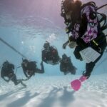 3 days Open Water Course | Scuba Diving - Authentic Insights from Past Participants