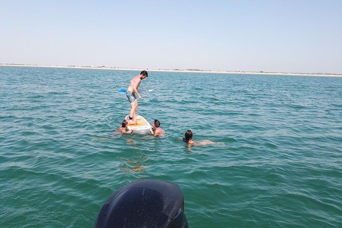 3-hour boat ride through the Bay of Cadiz - The Highlights Along the Route