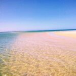 3 Hour Boat Tour in Ria Formosa - In-Depth Review of the Ria Formosa Boat Tour
