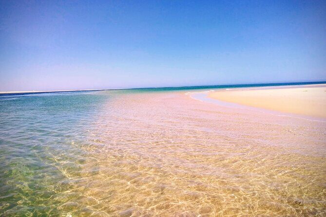 3 Hour Boat Tour in Ria Formosa - In-Depth Review of the Ria Formosa Boat Tour