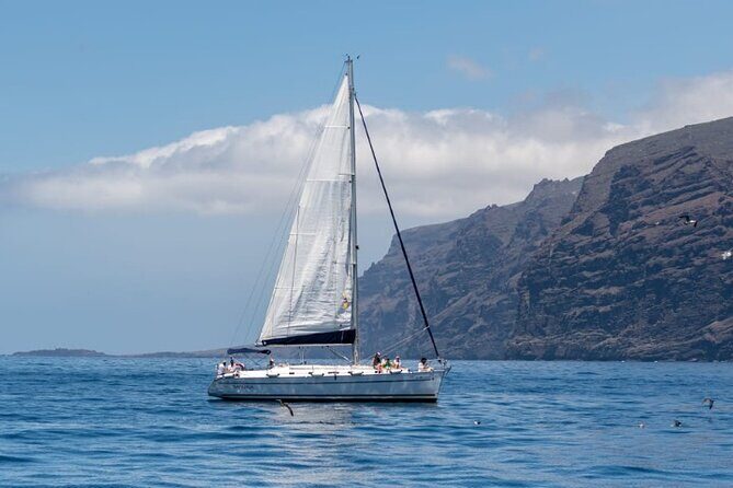 3-Hour Cetacean Watching and Snorkeling Tour in Tenerife - The Itinerary in Detail