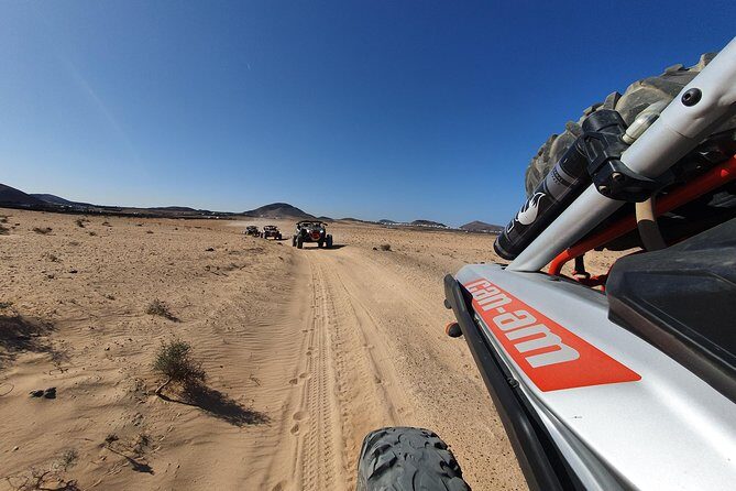 3 Hour Guided Buggy Tour Around the Island of Lanzarote - Who Should Consider This Tour?