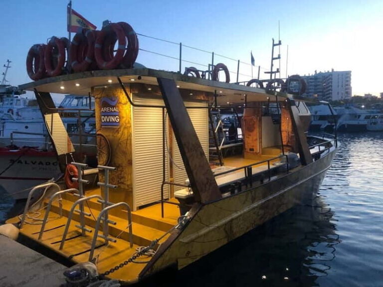 3-Hour Private Sunset Snorkel Boat for Large Groups - An In-Depth Review of the Sunset Snorkel Experience