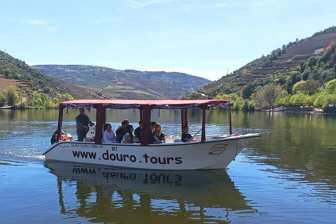 3-Hour Tour to Discover Pinhão - Moment of Discovery - The Sum Up