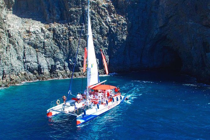 3-hour Whale and Dolphin Watching and Listening Tour - Discover the 3-hour Whale and Dolphin Watching and Listening Tour in Tenerife