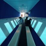3 Hour Yellow Semi Submarine Swimming Cruise with Drinks Included! - Weighing the Pros and Cons
