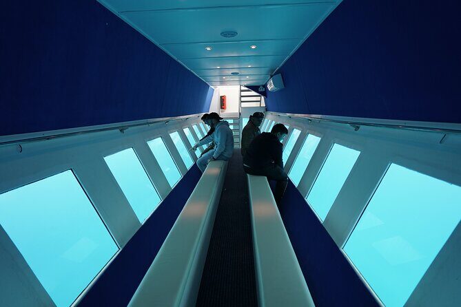 3 Hour Yellow Semi Submarine Swimming Cruise with Drinks Included! - Weighing the Pros and Cons
