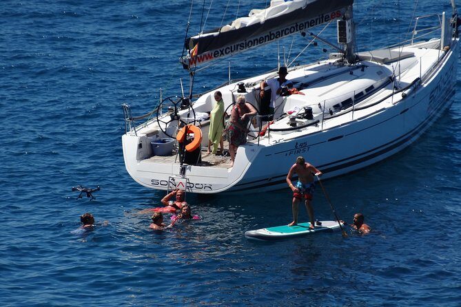 3 Hours All Inclusive Whale and Dolphin Whatching Yacht Trip - The Value of a Short but Sweet Sea Adventure
