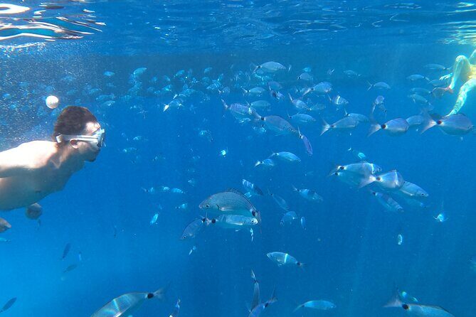 3 Hours Aquarium and Margaritas Islands Excursion - In-Depth Review of the Experience