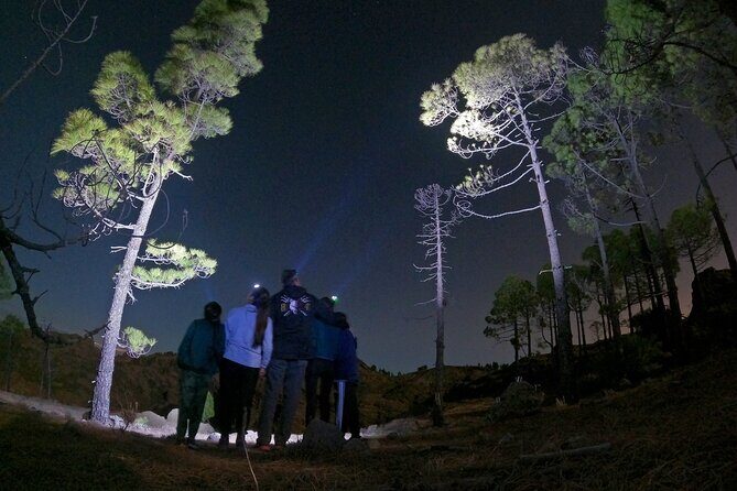 3-Hours Astronomy Hiking Experience in Roque Nublo Mountains - An In-Depth Look at the Astronomy Hiking Tour