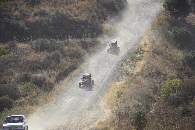 3 Hours Guided Buggy Safari Adventure in the Mountains of Mijas - Who Should Consider This Tour?