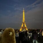 3-Hours Walking Tours Around Paris - Choose your own! - Exploring Paris in 3 Hours: What You Can Expect